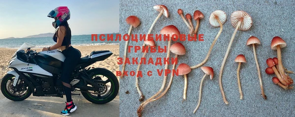 прущая мука Карталы